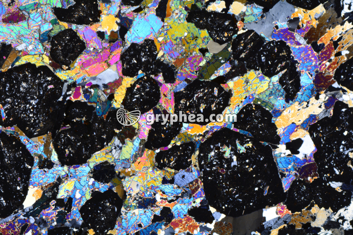 Eclogite LPA x3,5 - gryphea.org